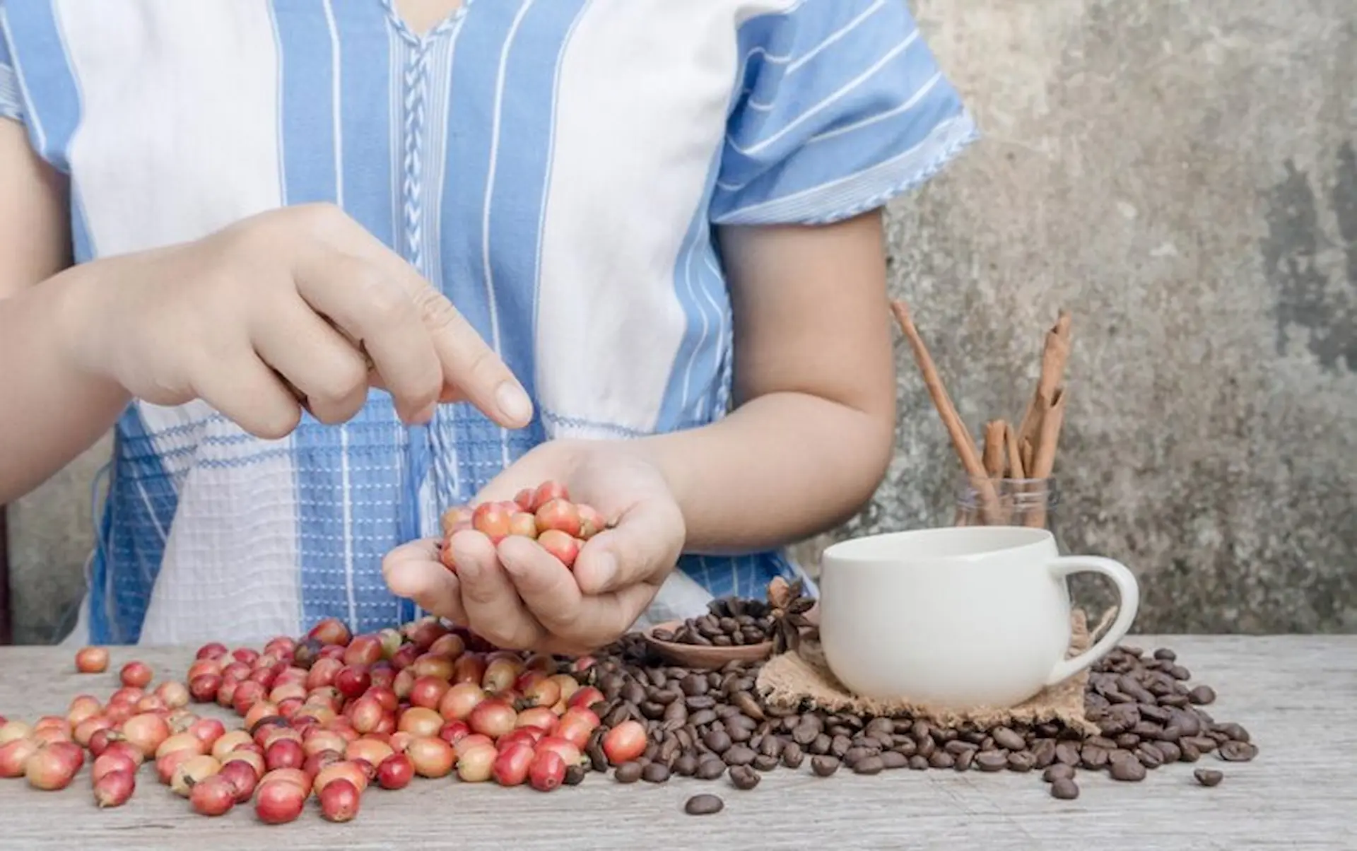 Coffee Syrups